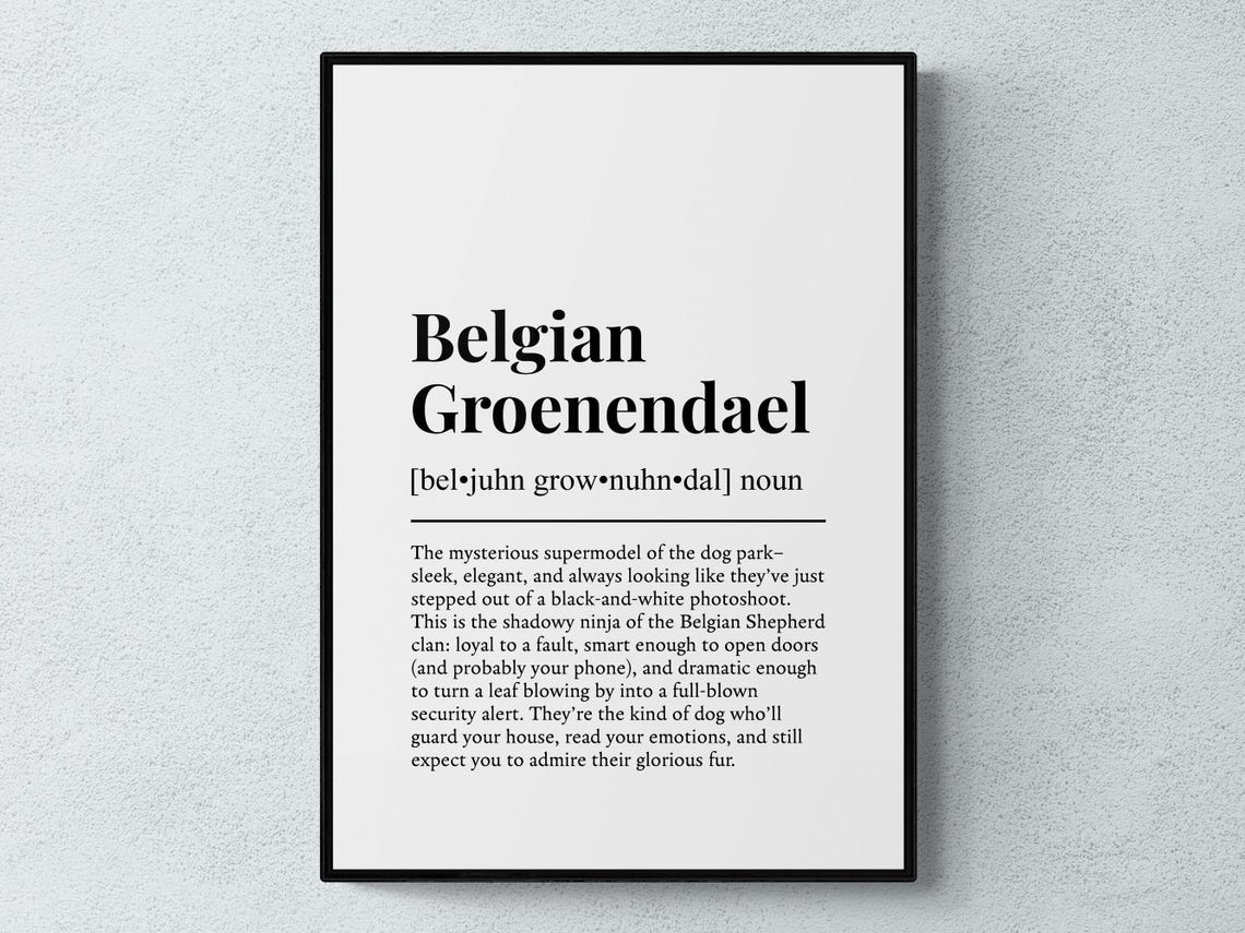 Belgian Groenendael Funny Dictionary Definition Print for Dog Fans