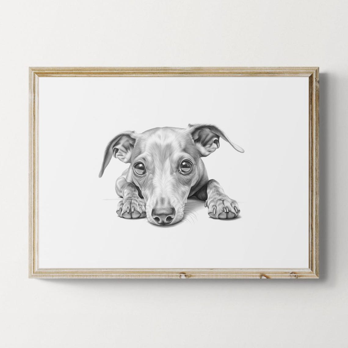 Italian Greyhound Puppy Pencil Sketch Adorable Elegant Cute Dog Print