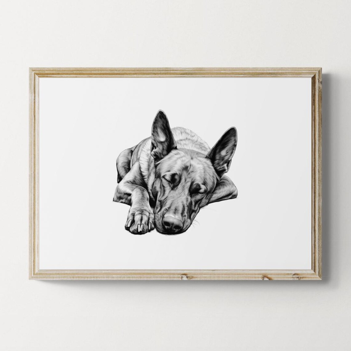 Sleeping Belgian Malinois, Vintage Dog Sketch Poster