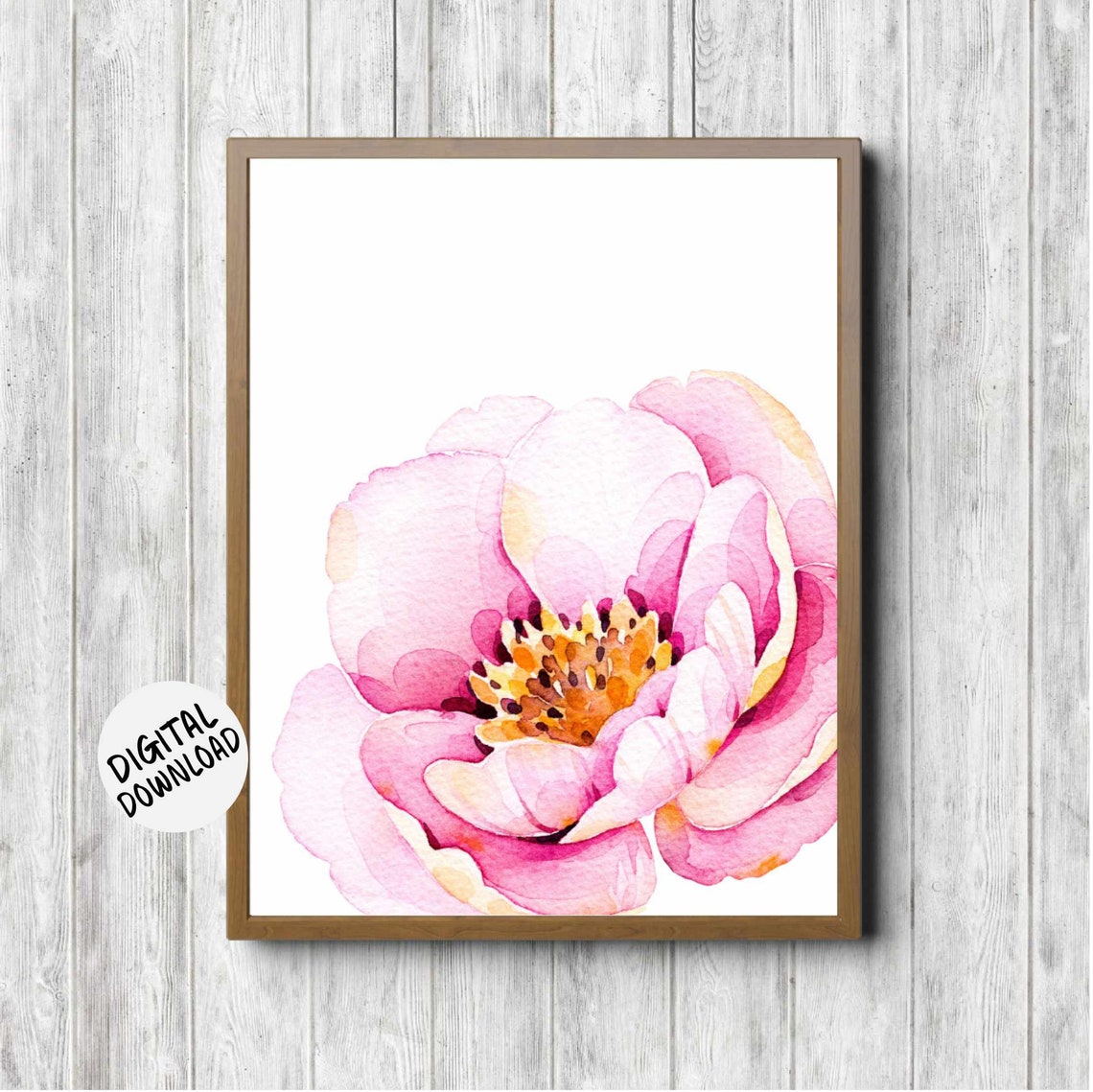 Large Pink Peony Watercolor Flower Close Up Botanical Art Poster