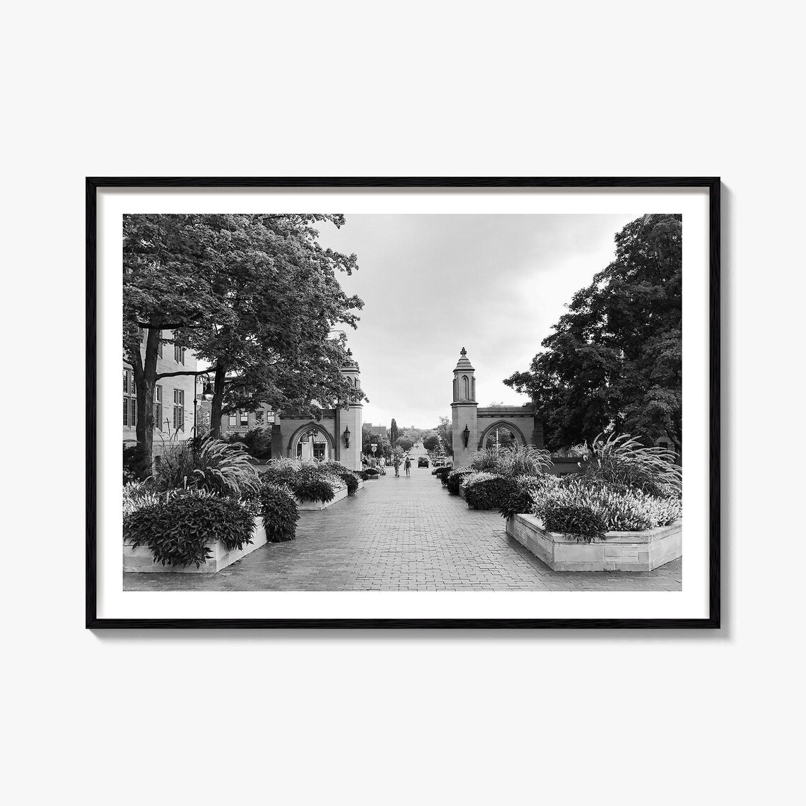 Bloomington Black And White Travel Map Art Print