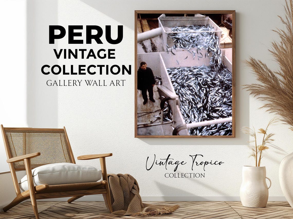 Industrial Fishing Boat Full Fish Hold Vintage Maritime Peru Poster
