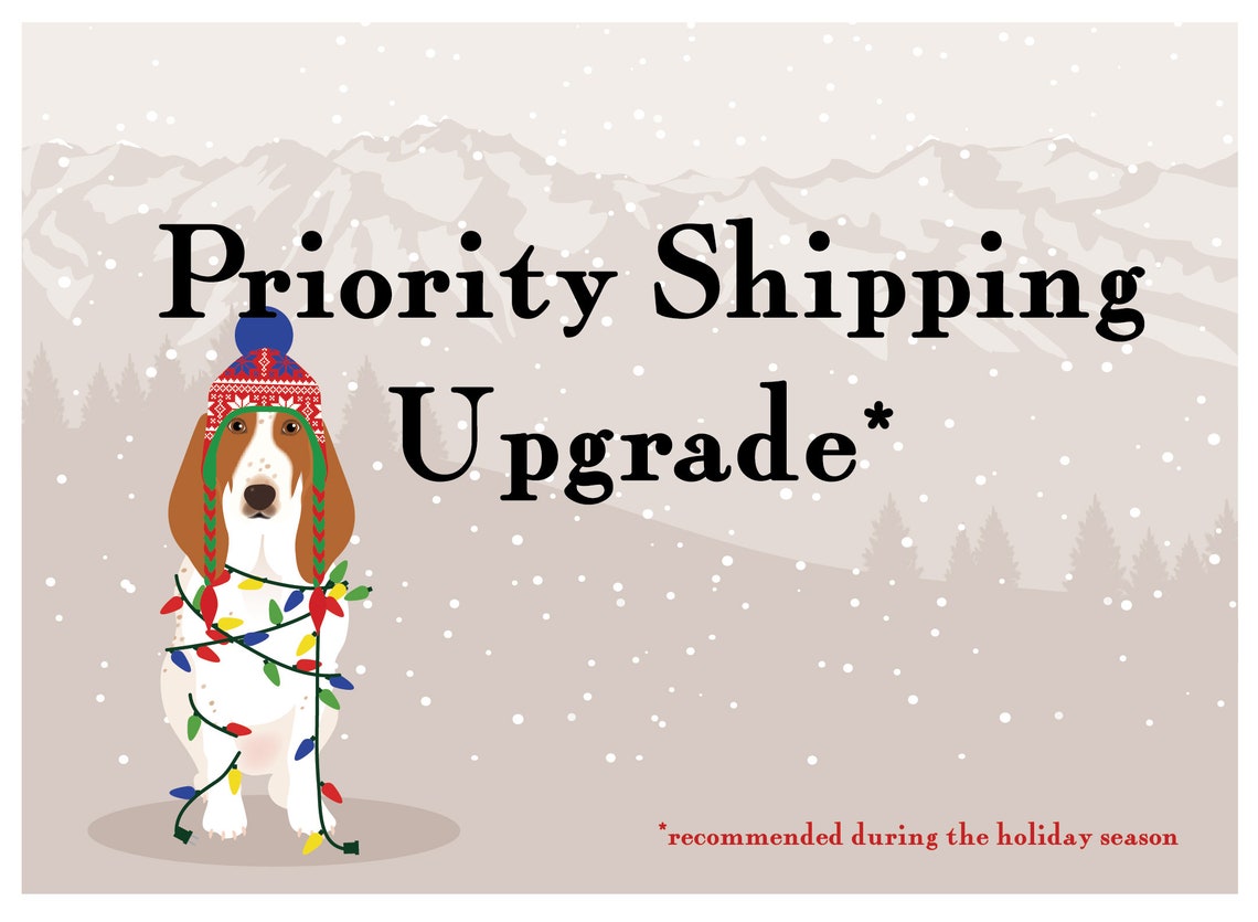 Priority Shipping Upgrade, USA Only