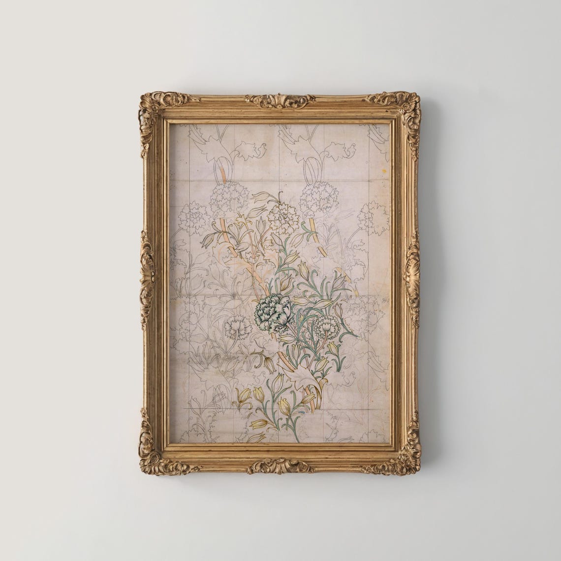 Botanical Line Drawing Study Faint Color Morris Style Art Poster