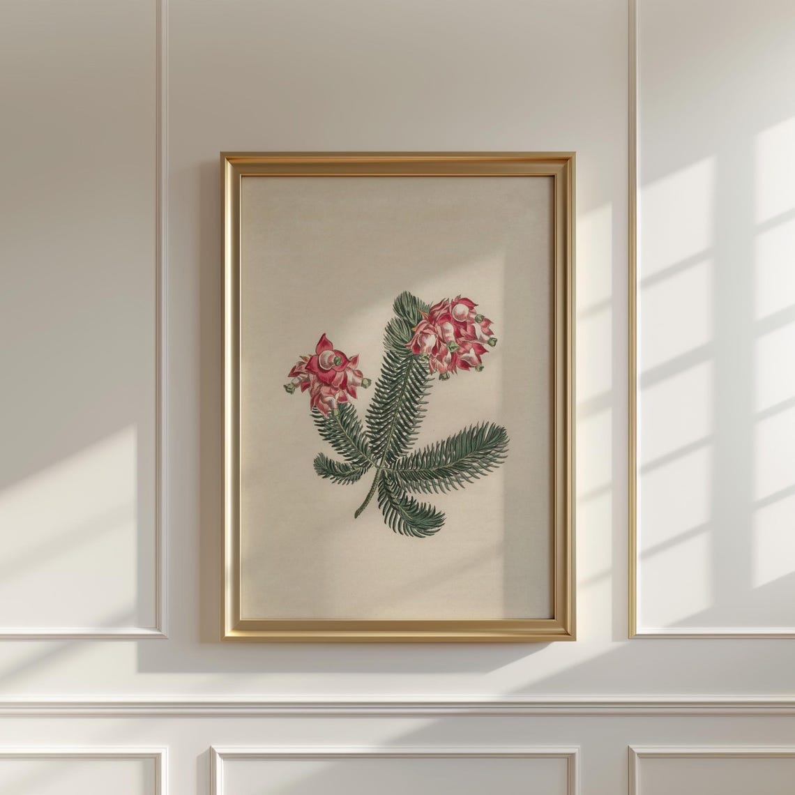 Pink Grevillea Blooms With Ferny Foliage Botanical Decor Print - Image 5