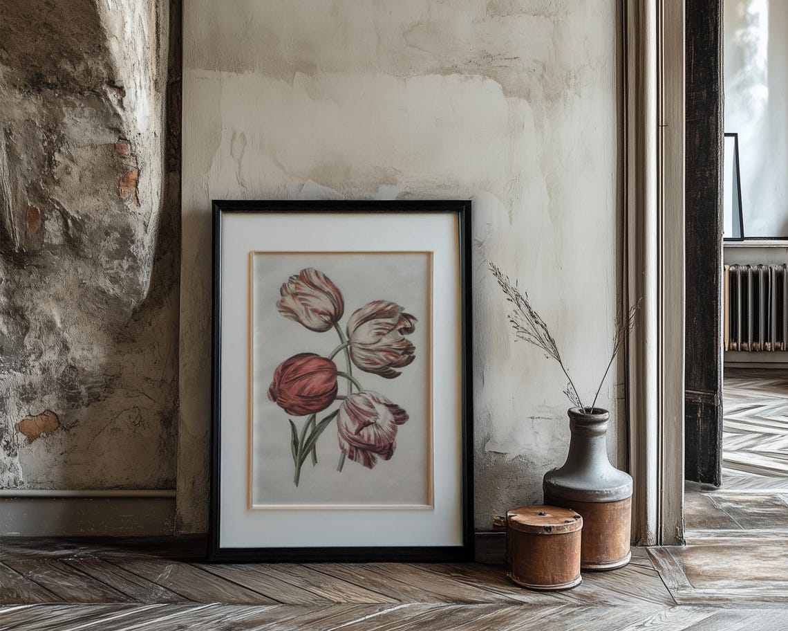 Four Red And Pink Flamed Striped Tulips Vintage Botanical Study Print - Image 3