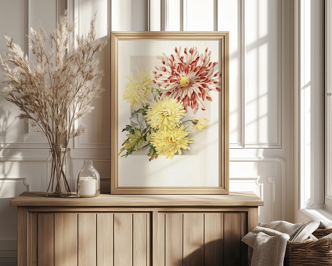 Yellow and Red Chrysanthemum Flowers Vintage Botanical Art Poster - Image 4
