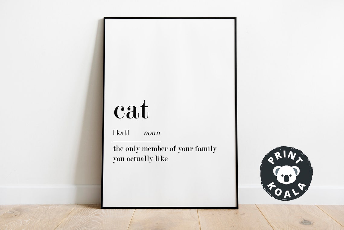 Funny Cat Definition Dictionary Style Cat Lover Humor Poster