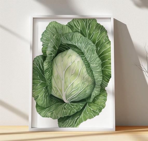 Green Cabbage Art Print Realistic Vegetable Illustration Botanical Kitchen Decor Rustic Farm Food Poster