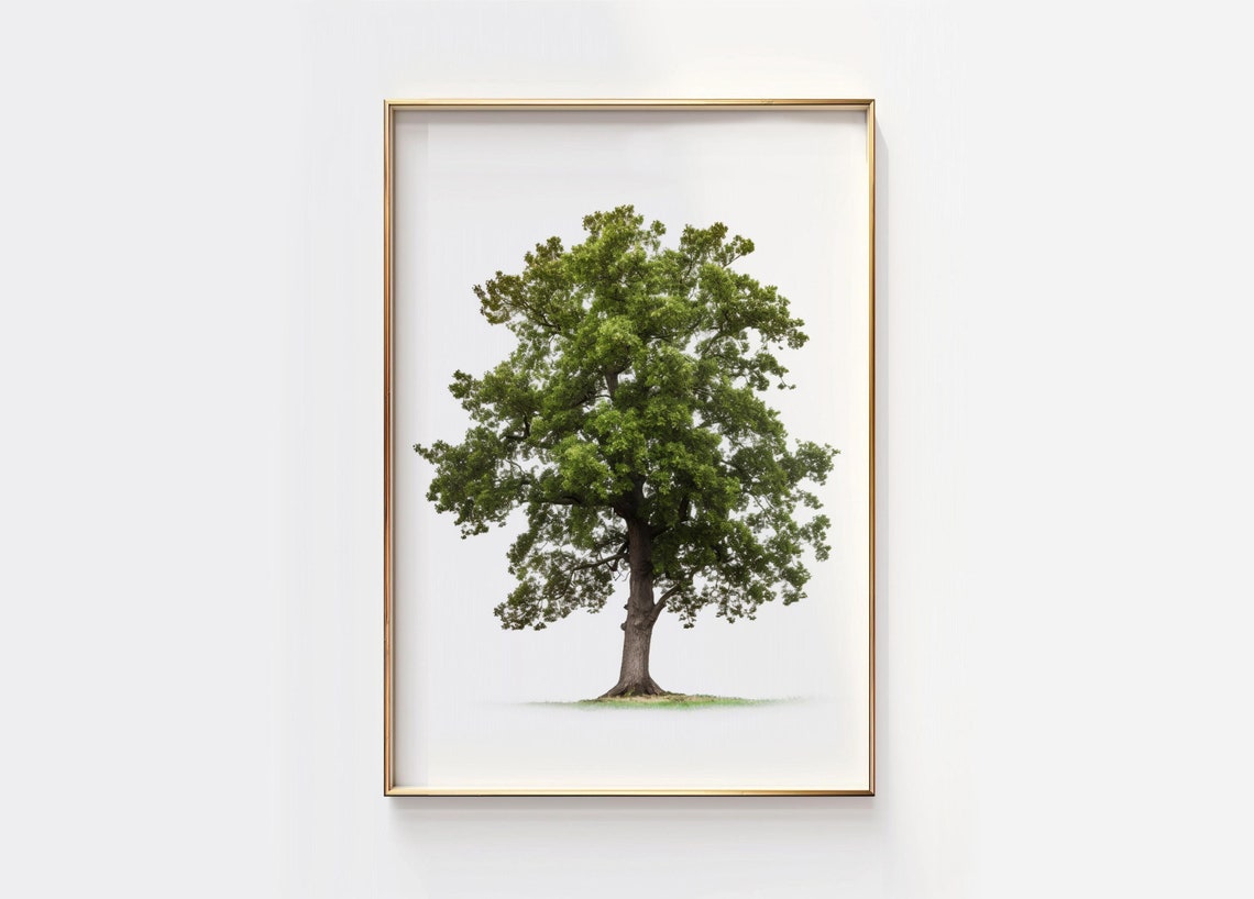 Majestic Green Oak Tree Watercolor Minimalist Botanical Poster