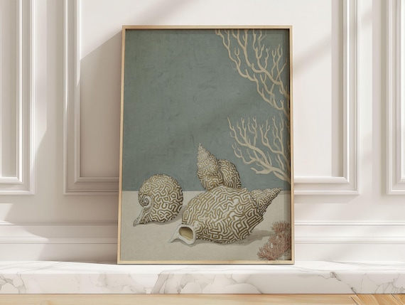 Conch Shell Trio Coral Reef Teal Underwater Still Life Poster