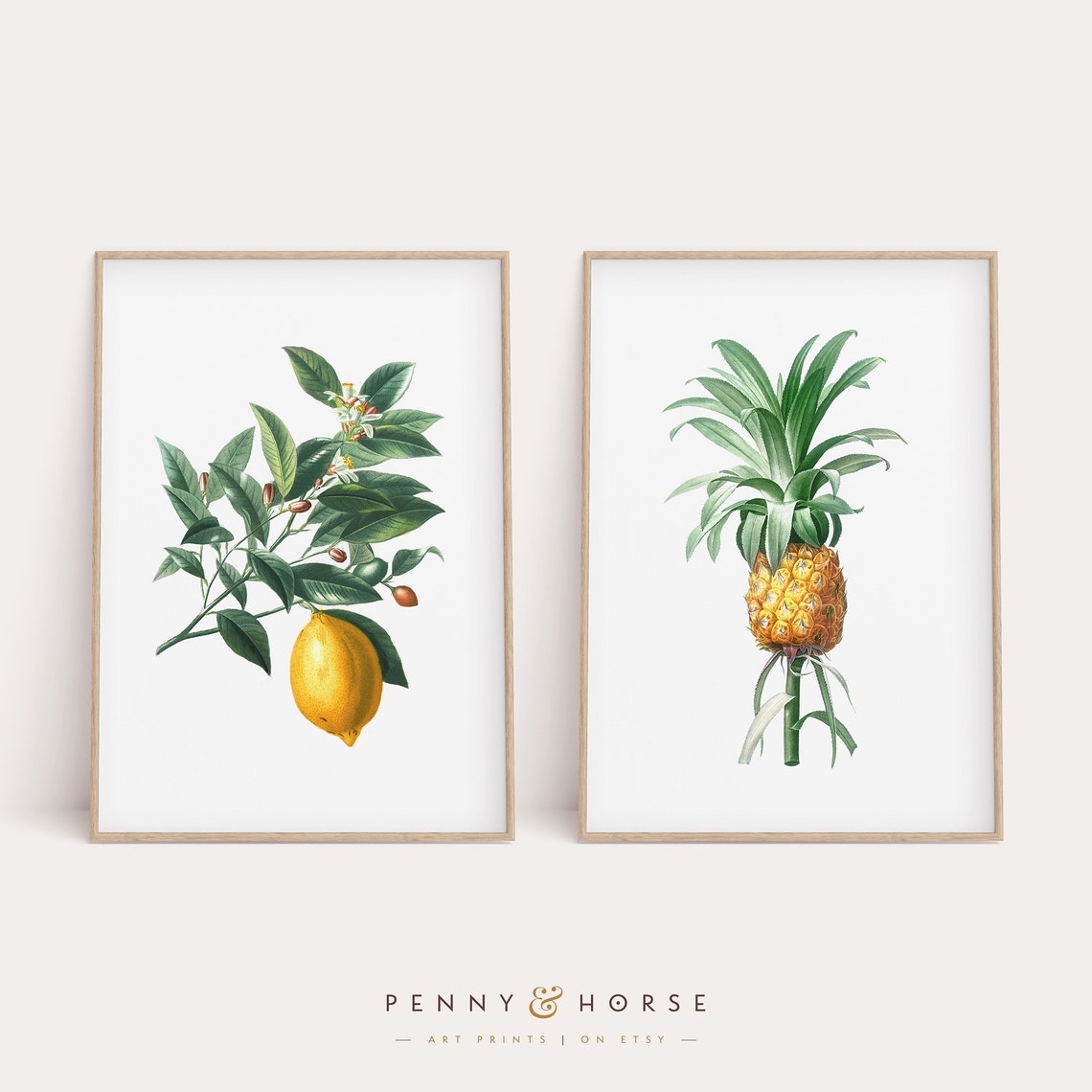 Vintage Botanical Lemon Branch and Pineapple Fruit Pair Poster