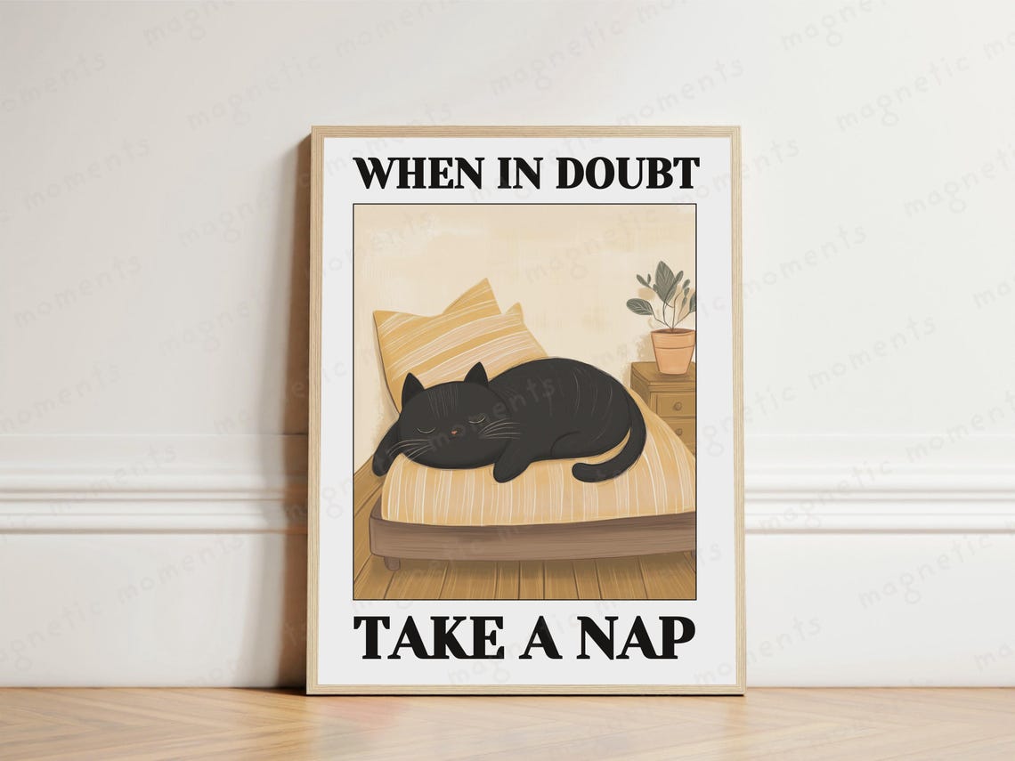 When in Doubt Take a Nap Funny Black Cat Sleeping Quote Poster