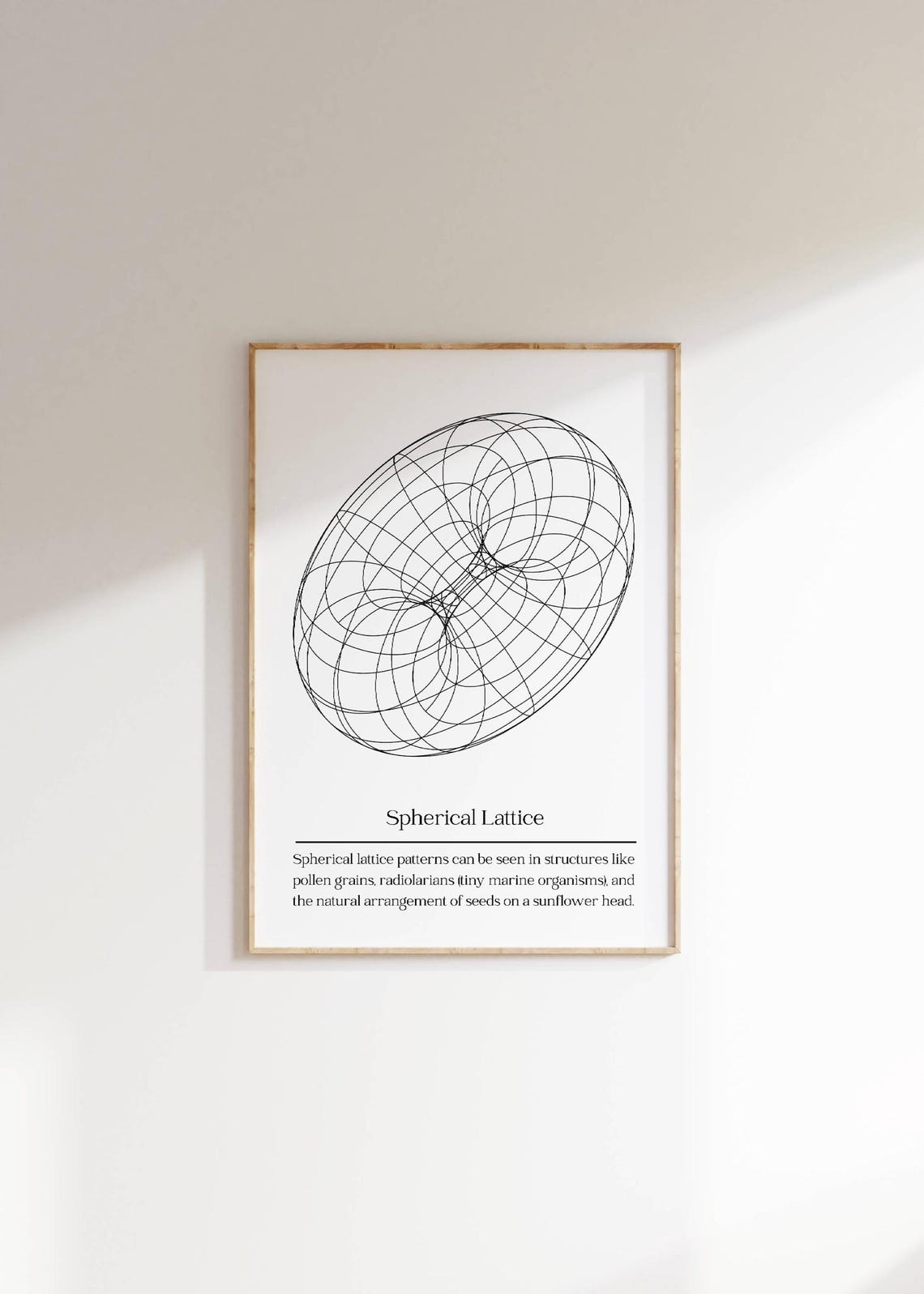 Spherical Lattice Wireframe Parametric Geometric Abstract Art Poster