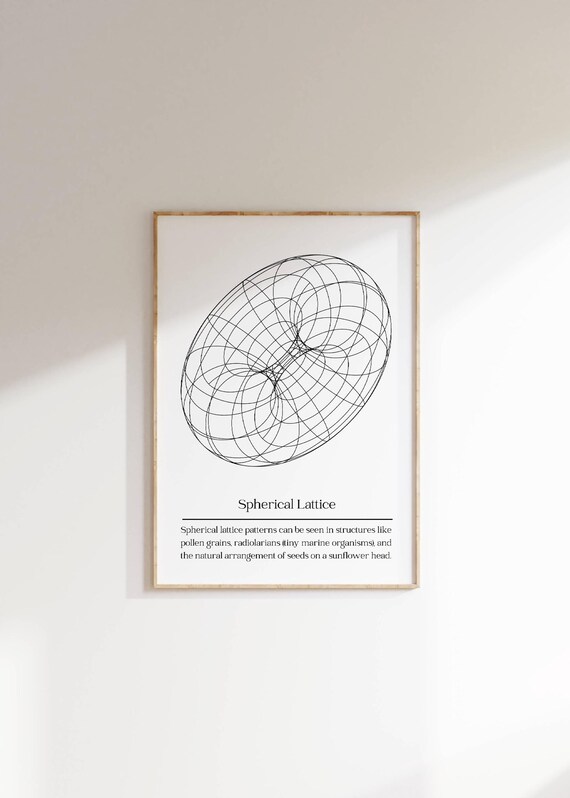 Parametric Wall Art Spherical Lattice Geometric Minimalist Science Inspired Modern Wall Art Math Design Home Office Study Poster