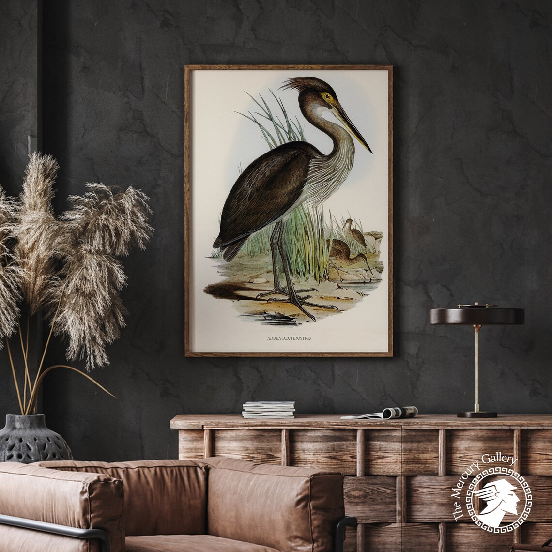 Vintage Great-Billed Heron Antique Waterbird Illustration Art Print - Image 5