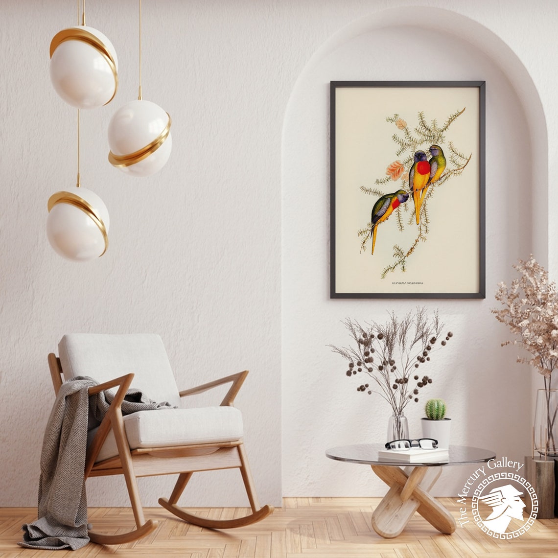 Splendid Grass Parakeet Vintage Australian Bird Illustration Print - Image 2