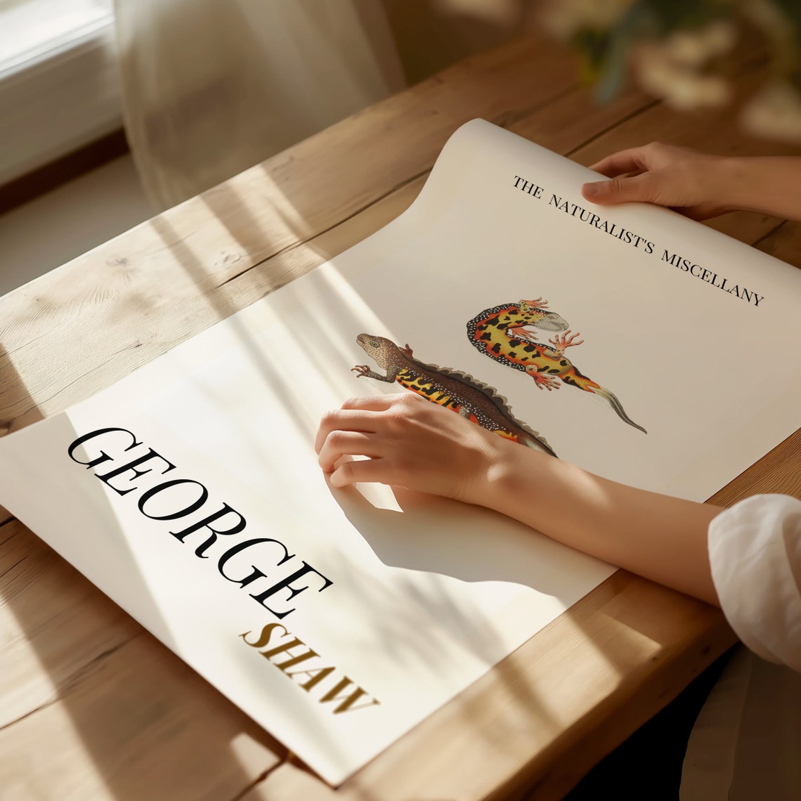 George Shaw Antique Fire Salamander Duo Natural History Poster - Image 2
