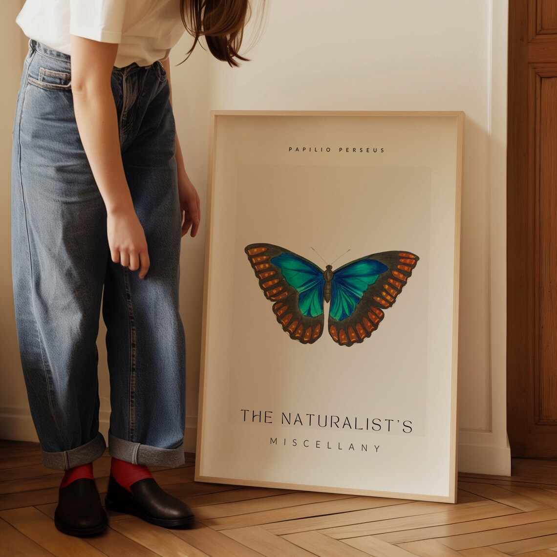 Papilio Perseus Blue Butterfly Vintage Natural History Wall Art - Image 3