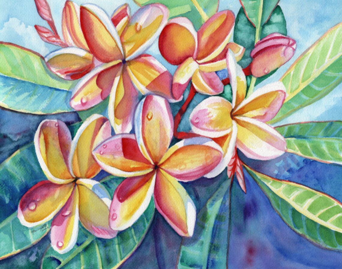 Rainbow Plumeria, Kauai Hawaii Tropical Art Print