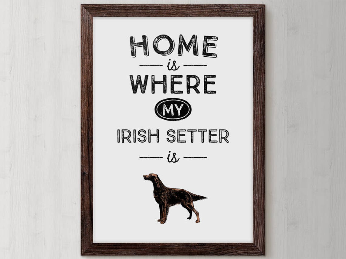 Irish Setter Dog Quote Home Is Where My Irish Setter Is Vintage Poster