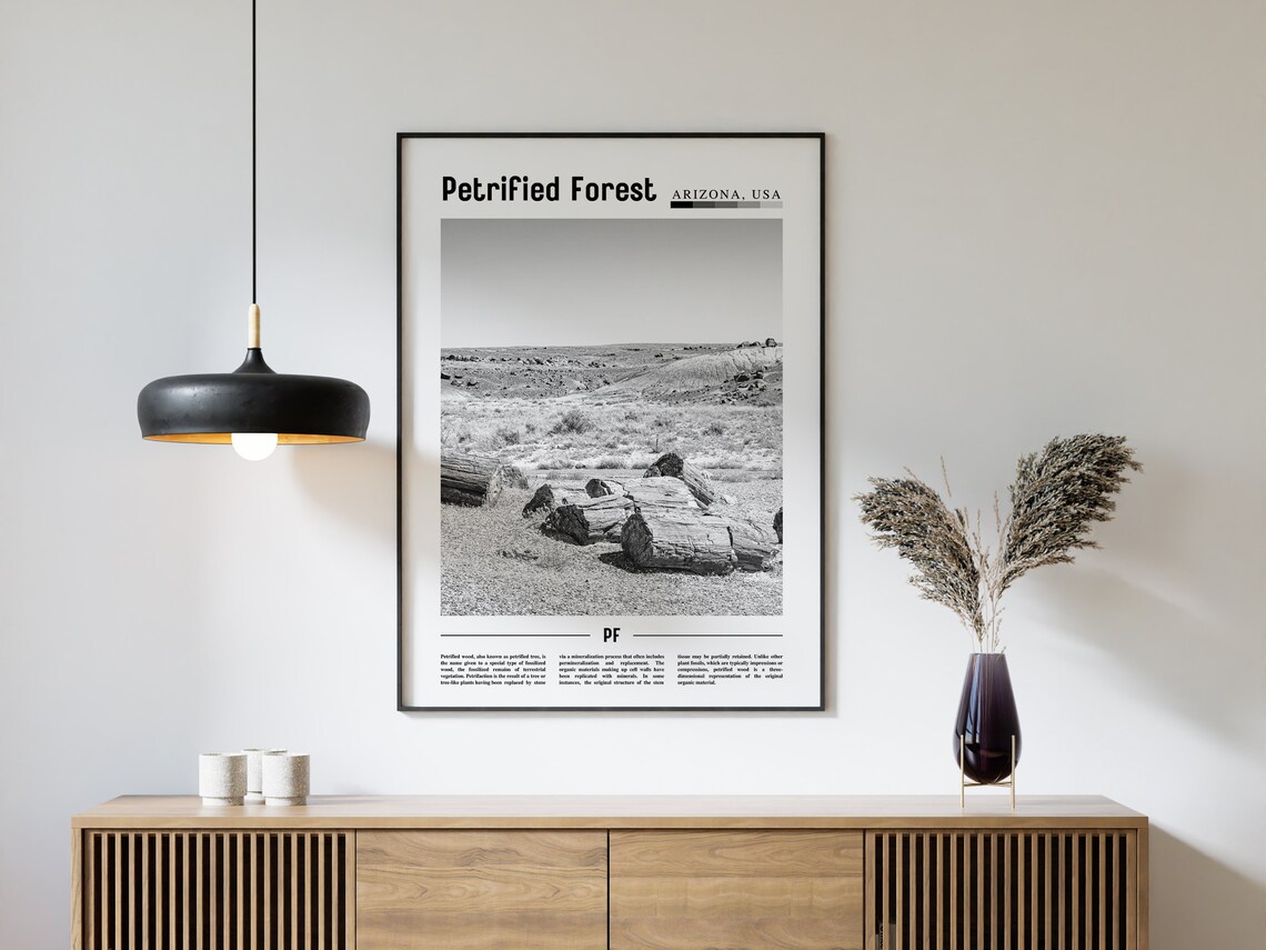 Petrified Forest - Minimal Travel Poster - Image 4