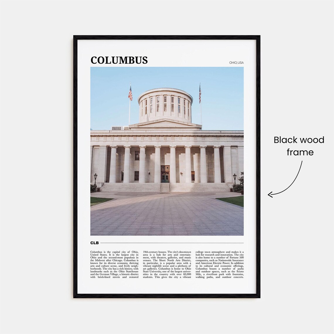 Columbus Ohio Statehouse Columns Historic Landmark Travel Art Poster - Image 2