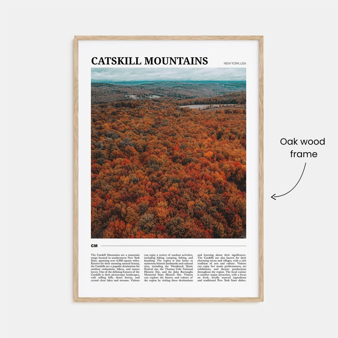 Catskill Mountains New York Travel Poster Autumn Forest Valley View - Image 3