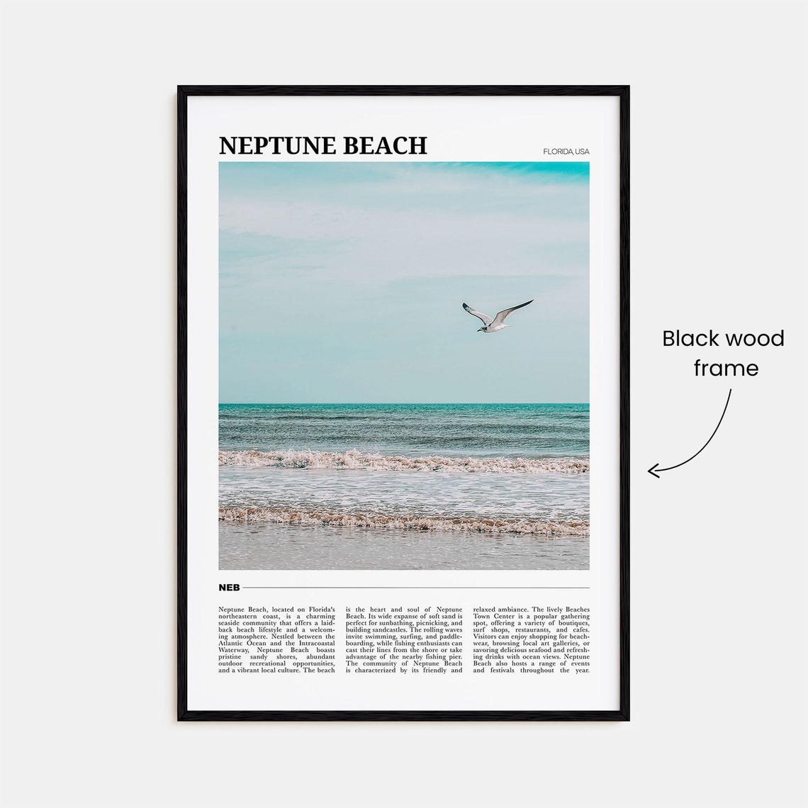 Neptune Beach Florida Seagull Over Ocean Waves Travel Poster - Image 2