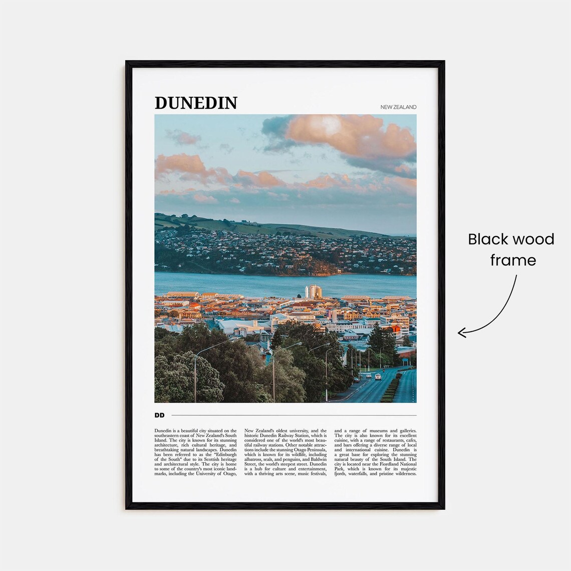Dunedin Travel Poster, New Zealand Travel Poster - Image 2