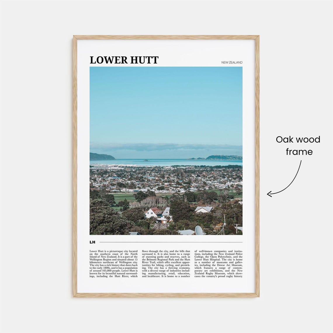 Lower Hutt New Zealand Panoramic City Bay View Landscape Poster - Image 3