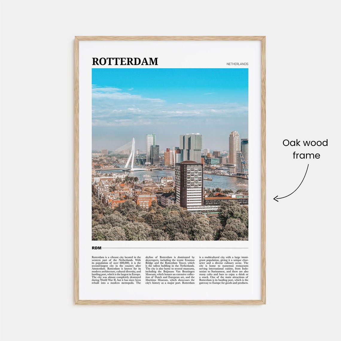 Rotterdam Netherlands Skyline Erasmus Bridge Photo Travel Poster - Image 3