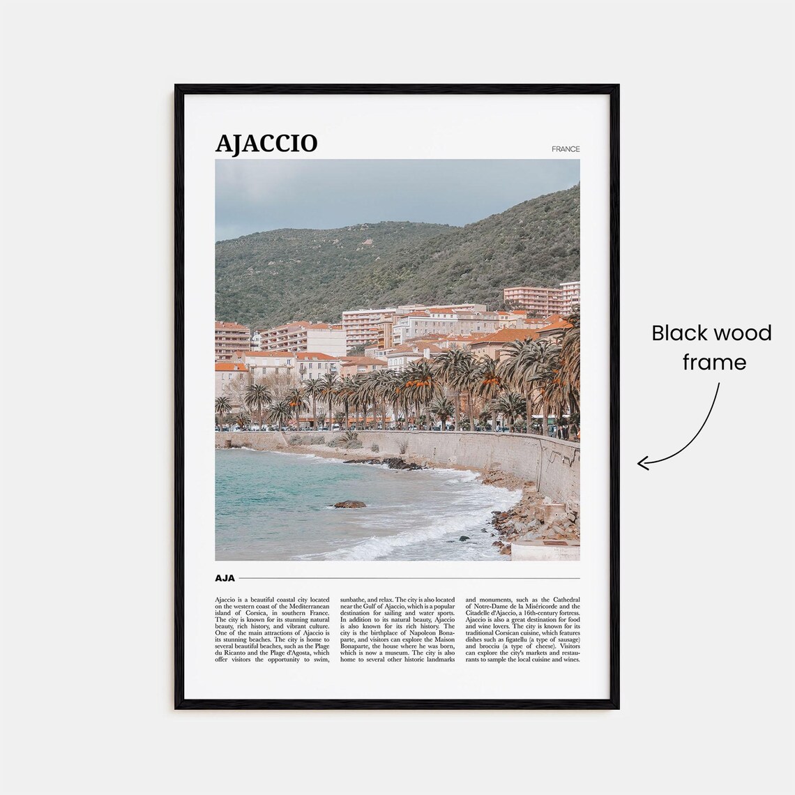 Ajaccio France Corsica Coastal City Palm Promenade View Poster - Image 2