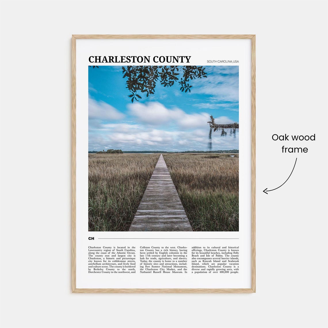 Charleston County South Carolina Marsh Boardwalk Nature Travel Poster - Image 3