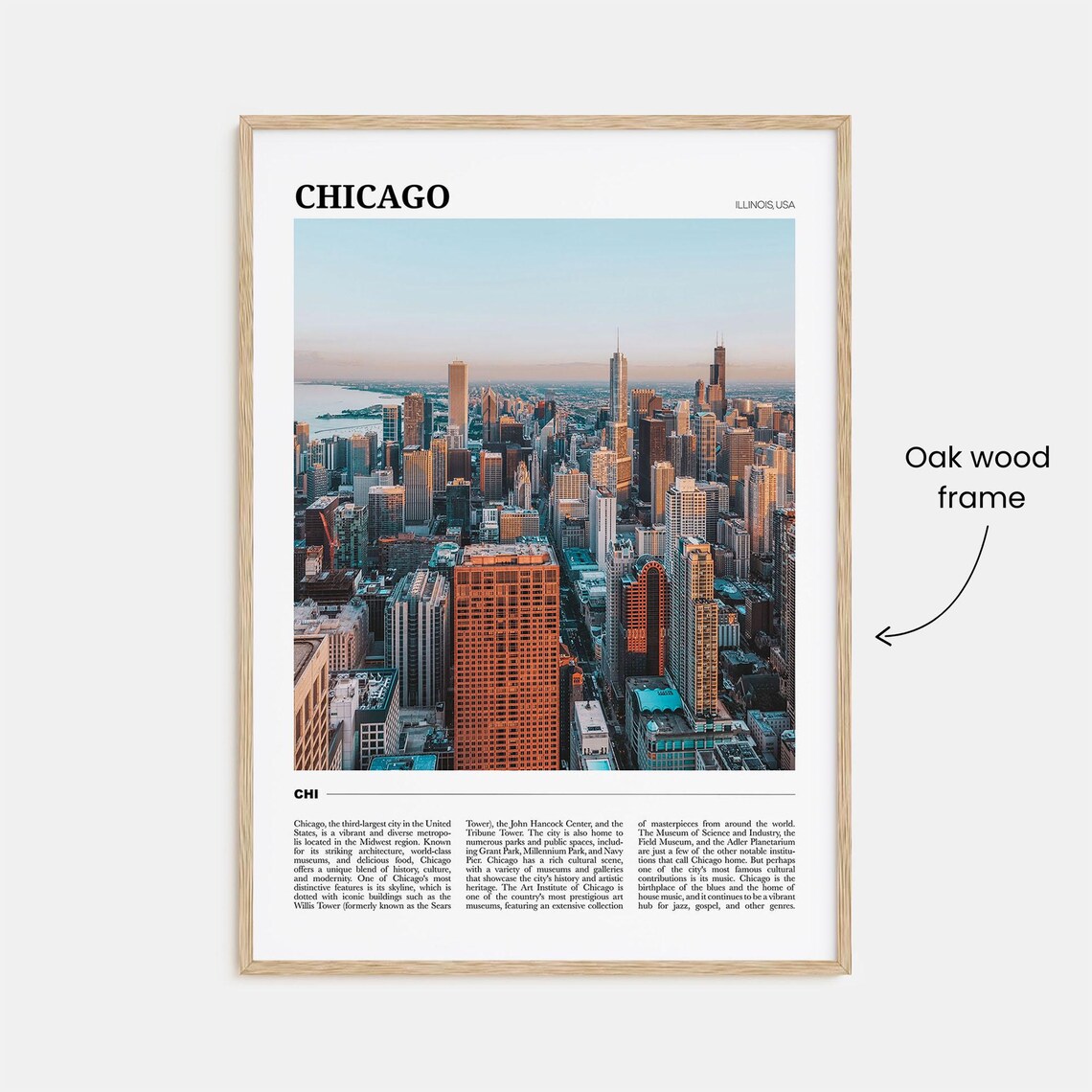 Chicago Travel Poster, Illinois USA Wall Art - Image 3