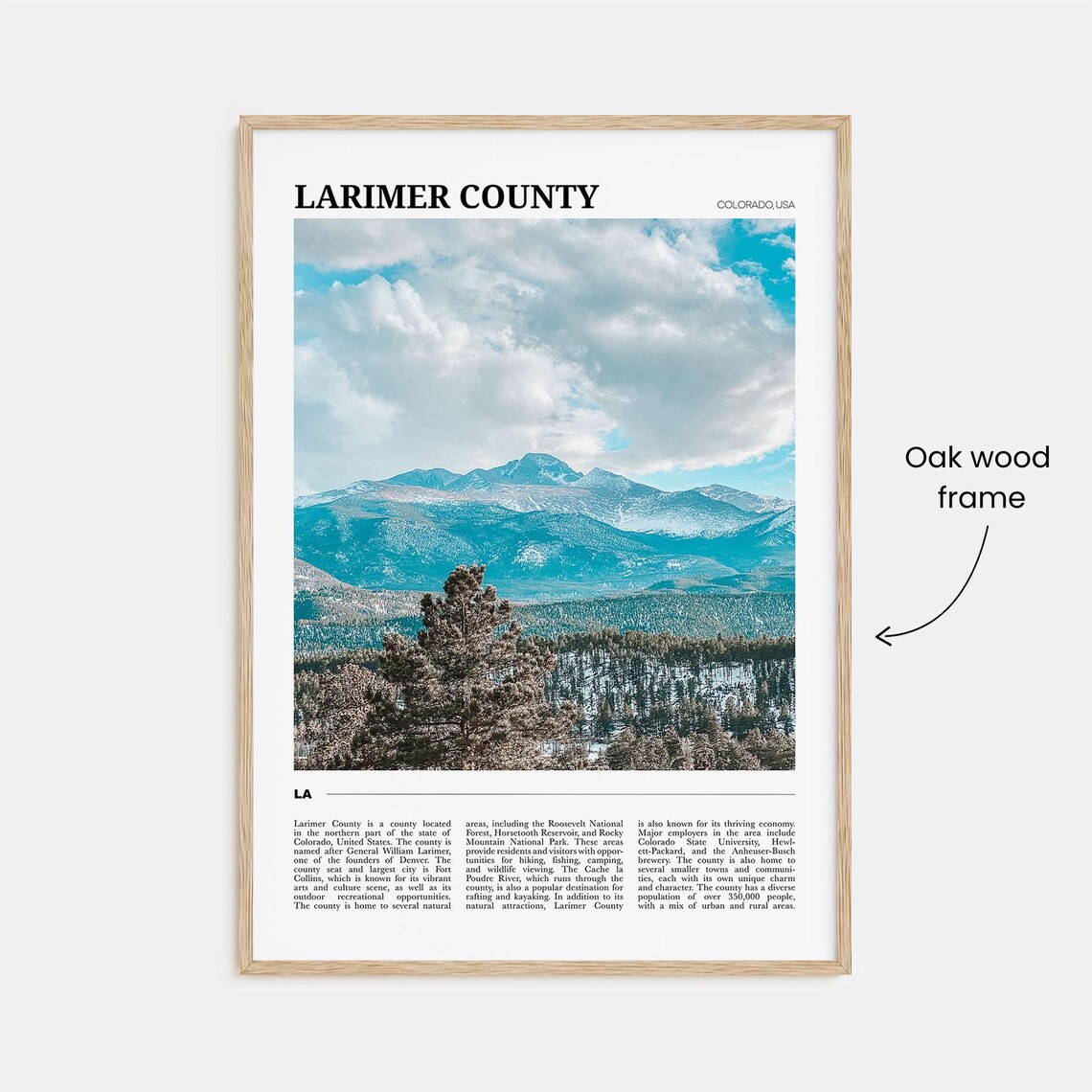 Larimer County Colorado Rocky Mountain Panorama Travel Poster - Image 3