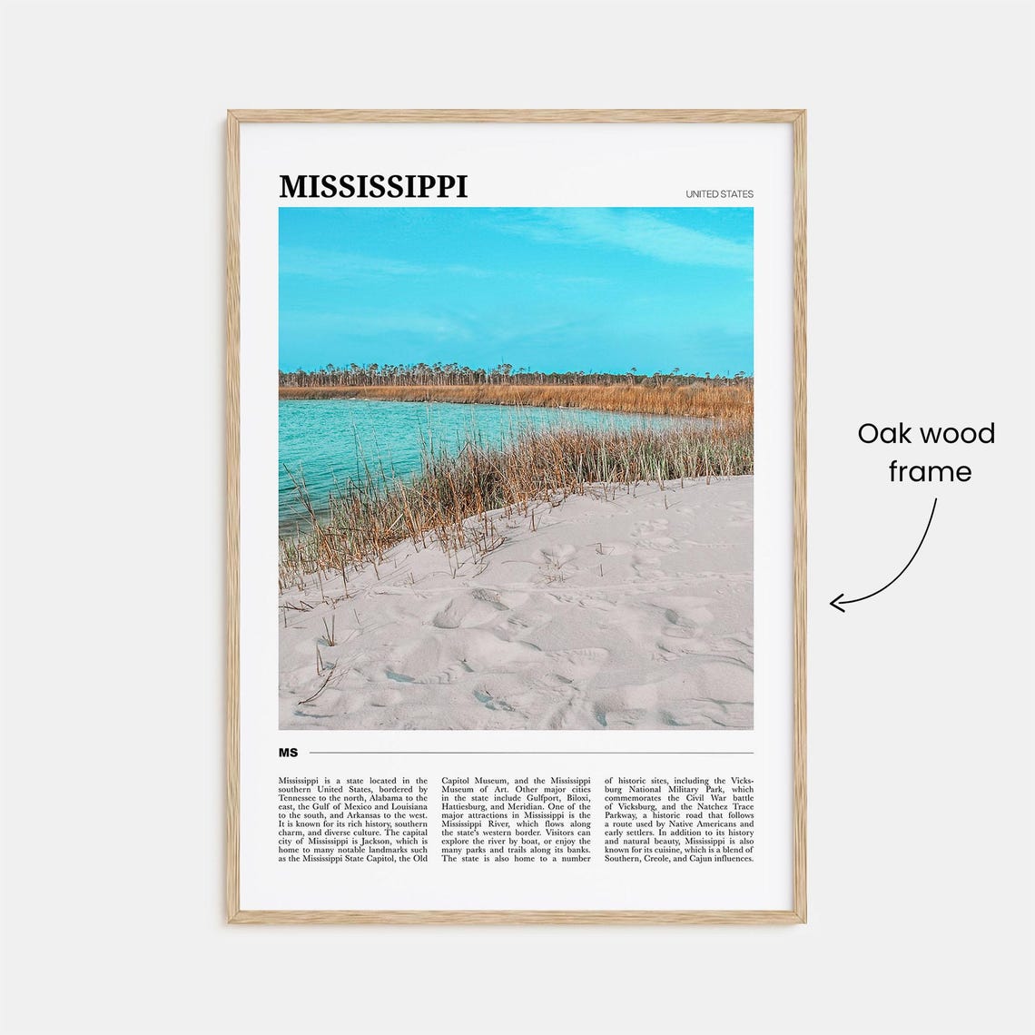 Mississippi Gulf Coast Beach Marsh Nature Travel Poster Series - Image 3