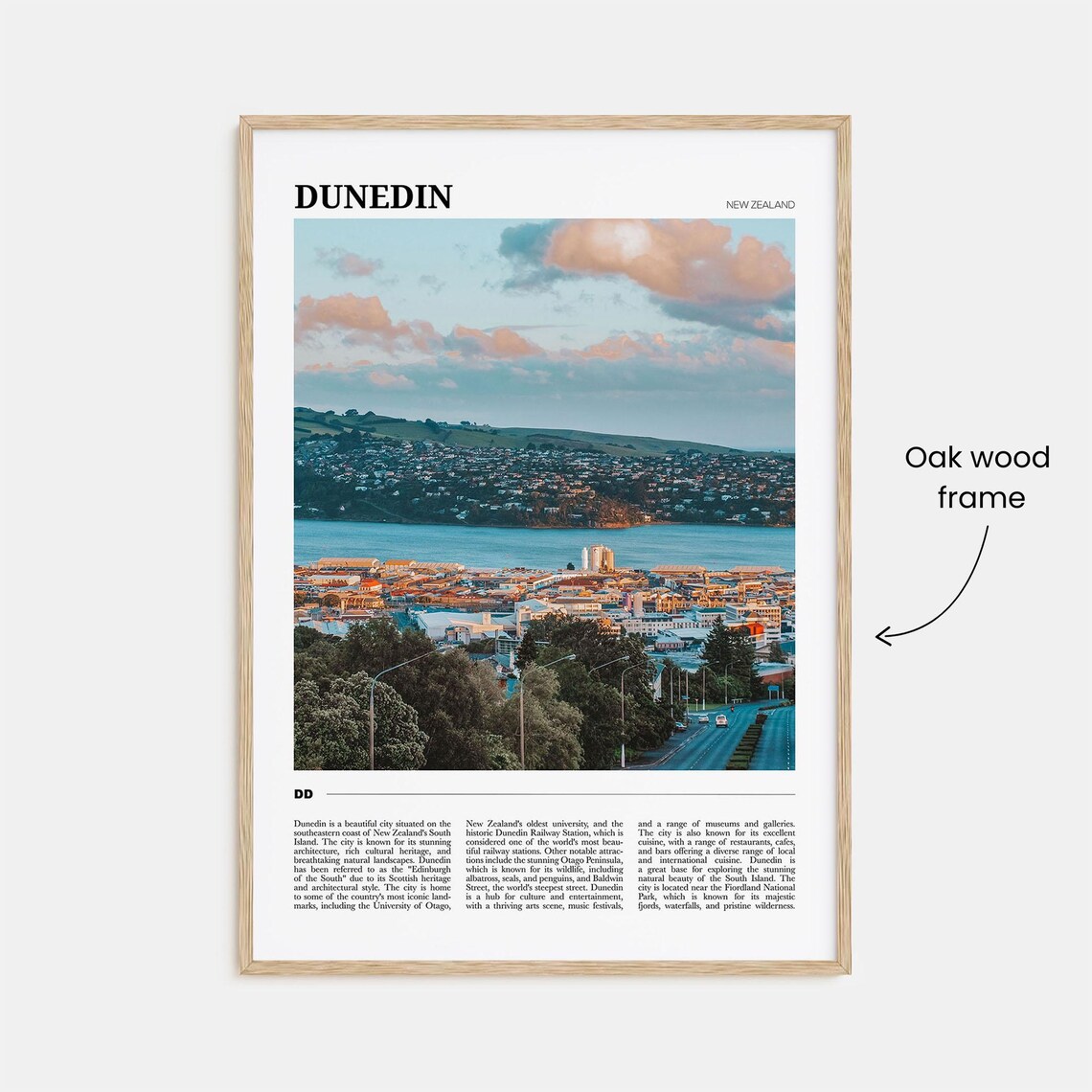 Dunedin Travel Poster, New Zealand Travel Poster - Image 3