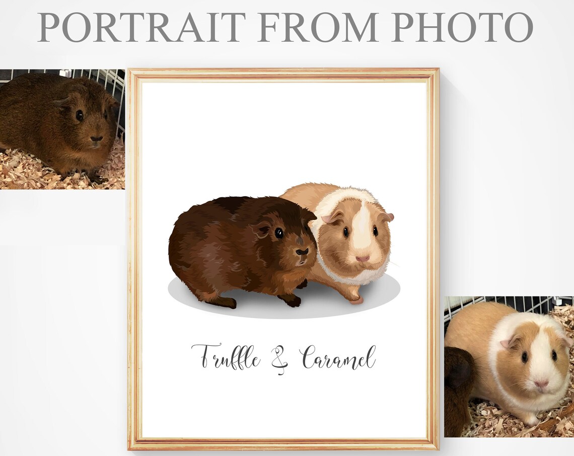 Portrait Of 2 Guinea Pigs Hamster Portrait Illustration Pet Portrait Hamster Gift Pet Memorial Guinea Pig Guinea Pig Picture