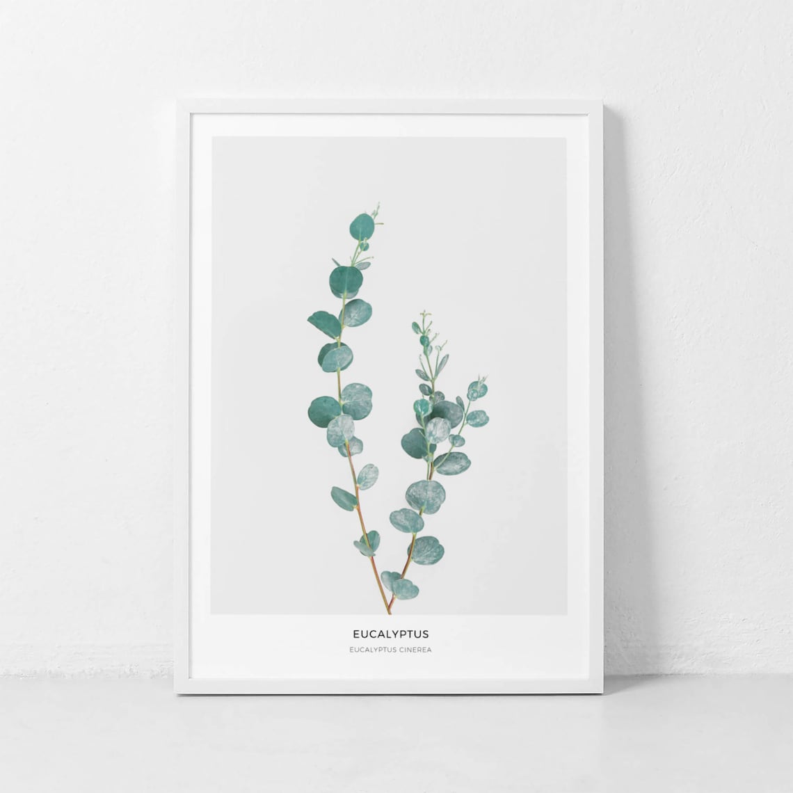 Eucalyptus Botanical Leaf Art Print, Mint Decor