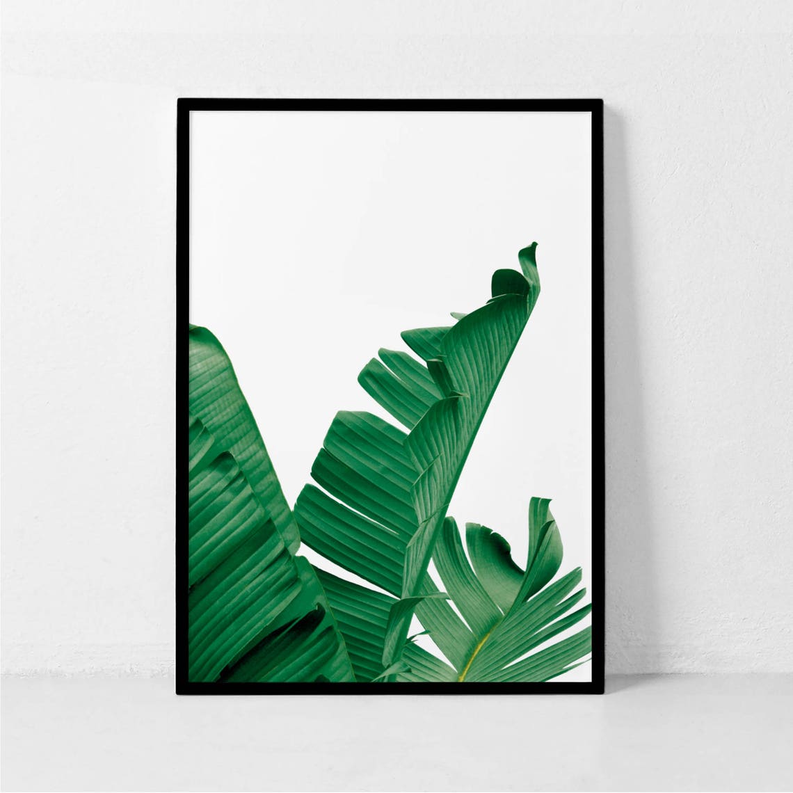 Green Banana Leaf Botanical Minimalist White Background Poster