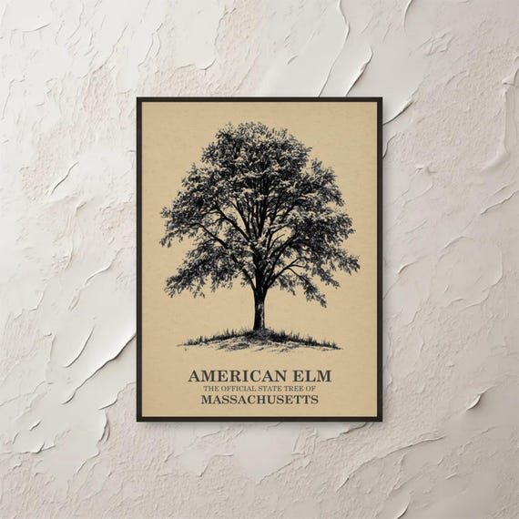 Elm Wall Art Massachusetts State Tree Print Nature Botanical Poster Illustration Vintage Style Home Decor