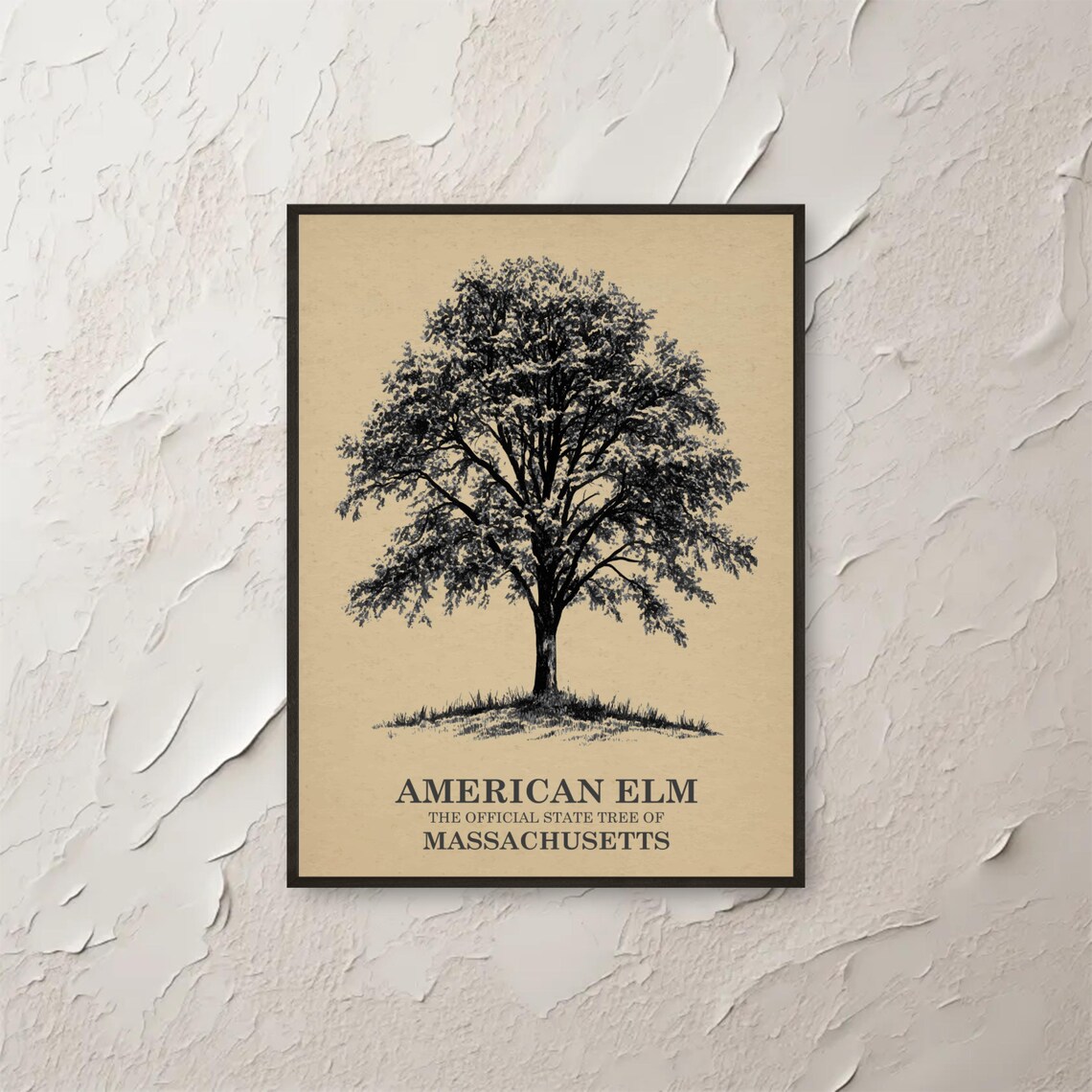 Elm Wall Art Massachusetts State Tree Print Nature Botanical Poster Illustration Vintage Style Home Decor