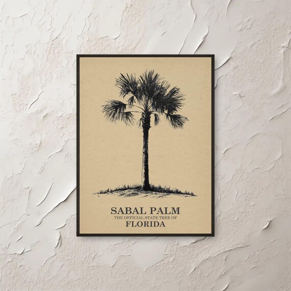 Sabal Palm Wall Art Florida State Tree Print Botanical Vintage Poster Southern Decor Coastal Minimalist
