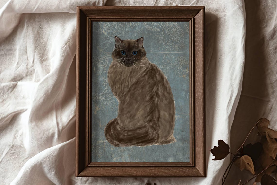 Fluffy Brown Longhair Cat Blue Eyes Vintage Damask Style Poster - Image 4