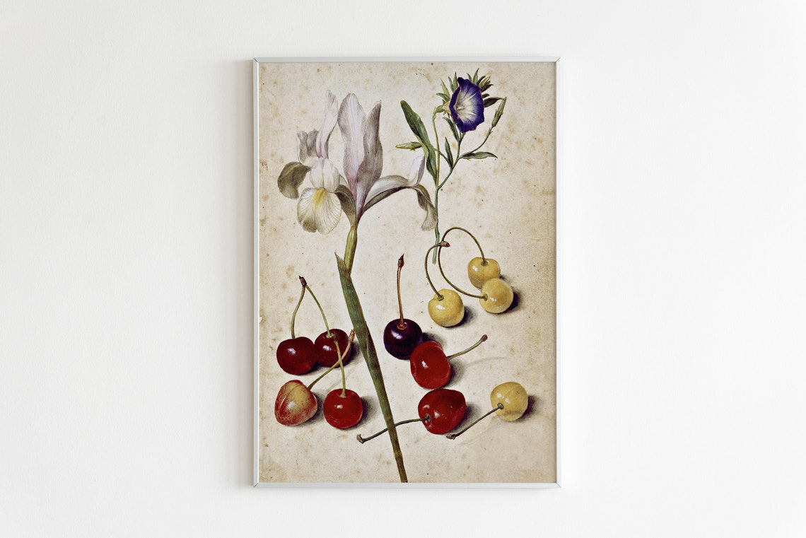 Vintage Botanical Fruit Illustration Farmhouse Kitchen Poster - Image 2