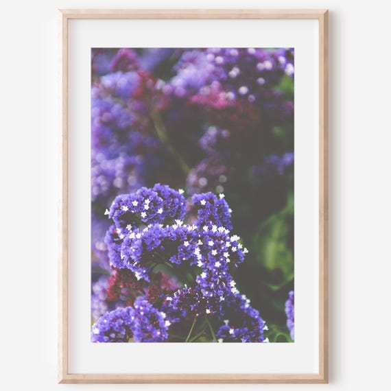 Purple Flower Print Botanical Art Floral Artwork Coastal Decor Farmhouse