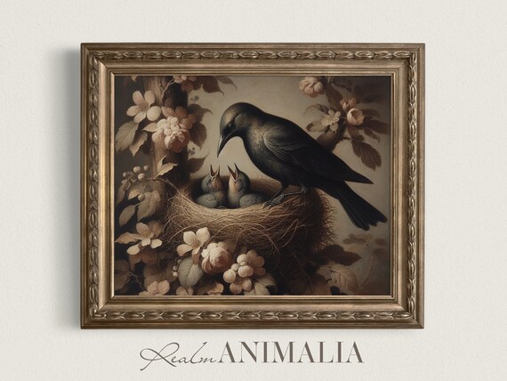 Blackbird Feeding Baby Birds In Nest Among Blossoms Vintage Wall Art Print