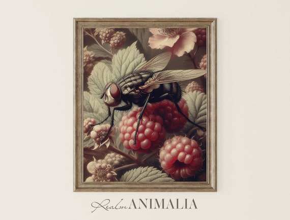 Fly On Raspberry Bush Art Print Vintage Insect Wall Art Housefly On Fruit Painting Moody Botanical Cottagecore Prints Fl001