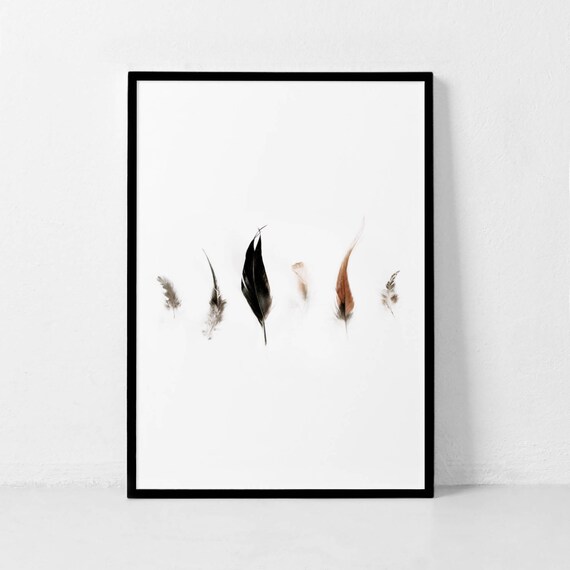 Feather Print Feather Wall Art Scandinavian Print Modern Wall Art Feather Photography Living Room Decor Affiche Scandinave Minimalist